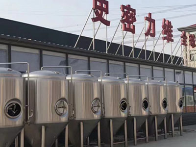 浈江精酿啤酒设备厂—如何判断精酿啤酒设备的密封件需要更换？